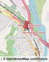 Torrefazione di Caffè ed Affini - Ingrosso e Lavorazione Serravalle Scrivia,15069Alessandria