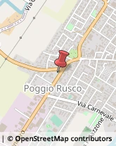 Pratiche Nautiche - Agenzie Poggio Rusco,46025Mantova