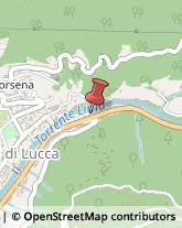 ,55022Lucca