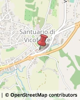 Casalinghi Vicoforte,12080Cuneo