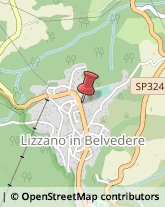 Ristoranti Lizzano in Belvedere,40042Bologna
