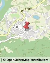 Autofficine e Centri Assistenza Varsi,43049Parma