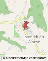 Osterie e Trattorie Montelupo Albese,12050Cuneo