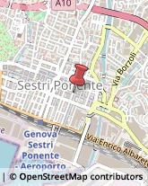Palestre e Centri Fitness Genova,16154Genova