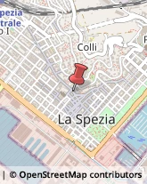 Borse - Dettaglio La Spezia,19020La Spezia