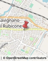 Etichette Savignano sul Rubicone,47039Forlì-Cesena