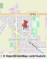 Mostre, Fiere e Saloni - Allestimento e Servizi Jolanda di Savoia,44037Ferrara