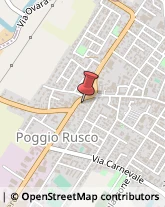 Stirerie Poggio Rusco,46025Mantova