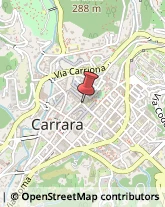 Pelliccerie Carrara,54033Massa-Carrara