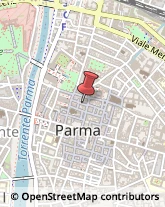 Animali Domestici - Vendita Parma,43121Parma