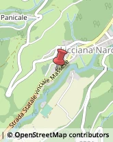 Imprese Edili Licciana Nardi,54016Massa-Carrara
