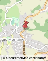 Massaggi Gaggio Montano,40041Bologna