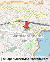 Strade - Manutenzione e Costruzione Santa Margherita Ligure,16038Genova