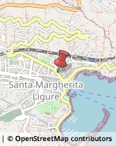 Piante e Fiori - Dettaglio Santa Margherita Ligure,16038Genova