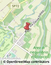 Giardinaggio - Servizio Reggio nell'Emilia,42123Reggio nell'Emilia