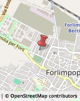 Serramenti ed Infissi, Portoni, Cancelli Forlimpopoli,47034Forlì-Cesena