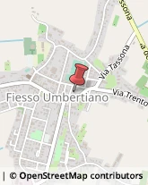 Scuole Pubbliche Fiesso Umbertiano,45024Rovigo