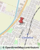 Leasing Conselice,48017Ravenna