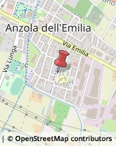 Organizzazioni, Associazioni ed Enti Internazionali Anzola dell'Emilia,40011Bologna