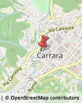 Scultori d'Arte - Studi Carrara,54033Massa-Carrara