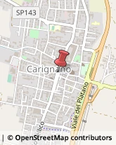 Farmacie Carignano,10041Torino