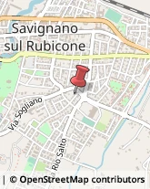 Stazioni di Servizio e Distribuzione Carburanti Savignano sul Rubicone,47043Forlì-Cesena