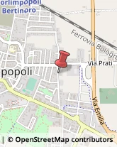 Tipografie Forlimpopoli,47034Forlì-Cesena