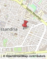 Uccelli Alessandria,15121Alessandria