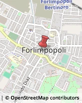 Erboristerie Forlimpopoli,47034Forlì-Cesena