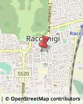 Asili Nido Racconigi,12035Cuneo