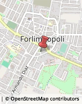 Agenzie di Vigilanza e Sorveglianza Forlimpopoli,47034Forlì-Cesena