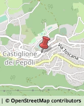 Magazzini Generali Castiglione dei Pepoli,40035Bologna