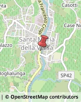 ,27047Pavia