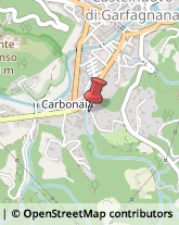 Cooperative e Consorzi Castelnuovo di Garfagnana,55032Lucca