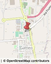 Tetti e Coperture Edili Gatteo,47043Forlì-Cesena