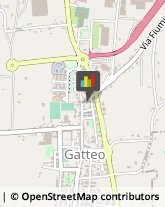 Tetti e Coperture Edili Gatteo,47043Forlì-Cesena