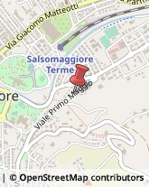 Caldaie Vapore Salsomaggiore Terme,43039Parma