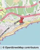 Mercerie Cogoleto,16016Genova