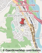 Pollame, Conigli e Selvaggina - Dettaglio Serravalle Scrivia,15069Alessandria