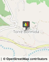 Aziende Agricole Torre Bormida,12050Cuneo