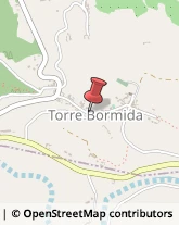 Aziende Agricole Torre Bormida,12050Cuneo