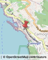 Pubblicità - Agenzie e Studi Camogli,16032Genova