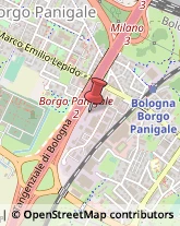 Consulenza Informatica,40132Bologna