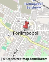 Franchising - Consulenza e Servizi Forlimpopoli,47034Forlì-Cesena