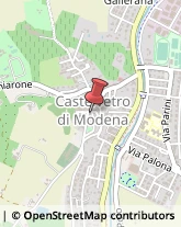 Comuni e Servizi Comunali Castelvetro di Modena,41014Modena