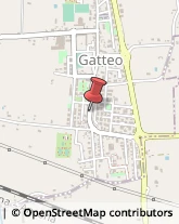 Autotrasporti Gatteo,47043Forlì-Cesena