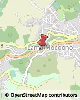 Associazioni Sindacali Lama Mocogno,41023Modena