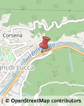 ,55022Lucca