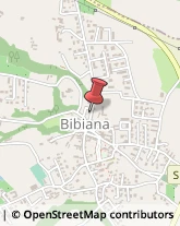 Stirerie Bibiana,10060Torino