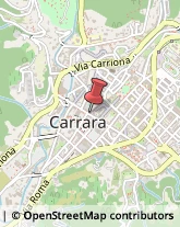 Borse - Dettaglio Carrara,54033Massa-Carrara